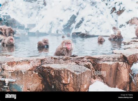 Hot Tub Snow Hi Res Stock Photography And Images Alamy
