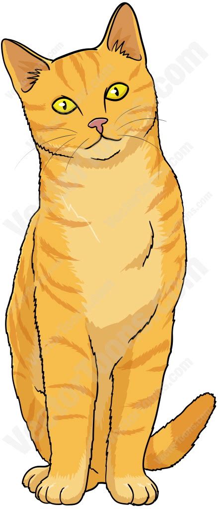 Tabby Cat Vector At Vectorified Com Collection Of Tabby Cat Vector