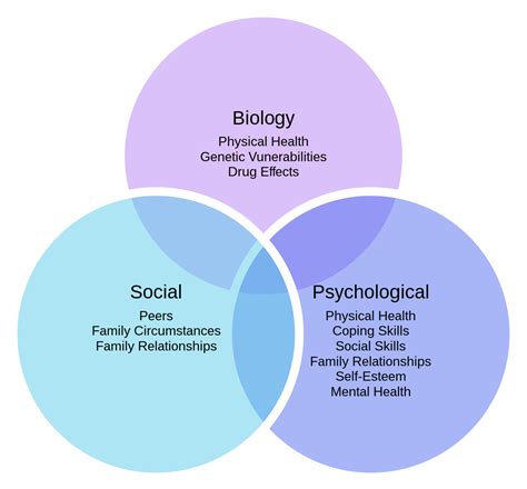 Biopsychosocial Model Baike English Duhoccn