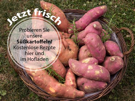 Süßkartoffel Rezepte Hofladen Austermann