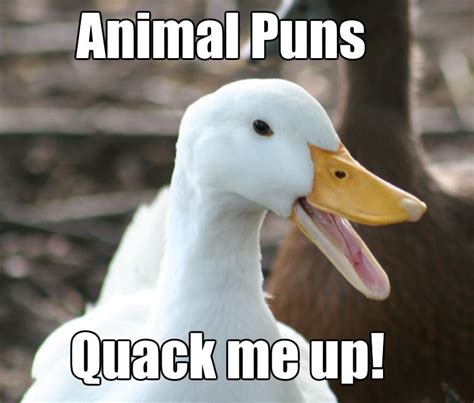 Duck Puns Animal Puns Funny Puns Jokes Dog Puns
