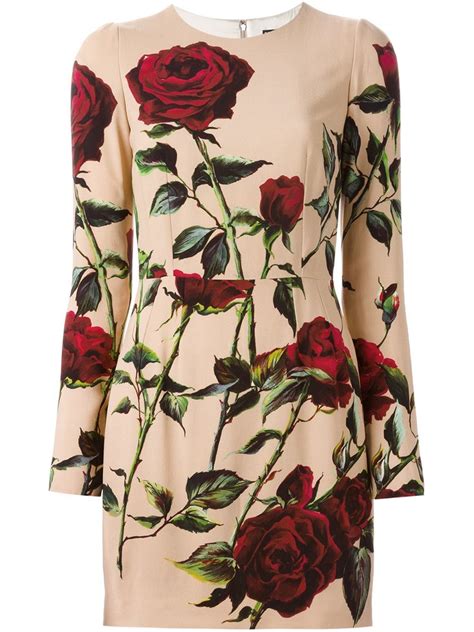 Dolce And Gabbana Rose Print Dress Pradux