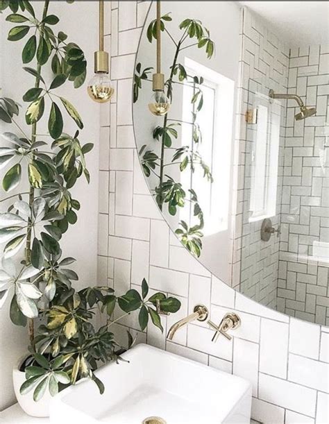 Pin By Ezra S On Interior Design Bathroom Plants Home Home Decor