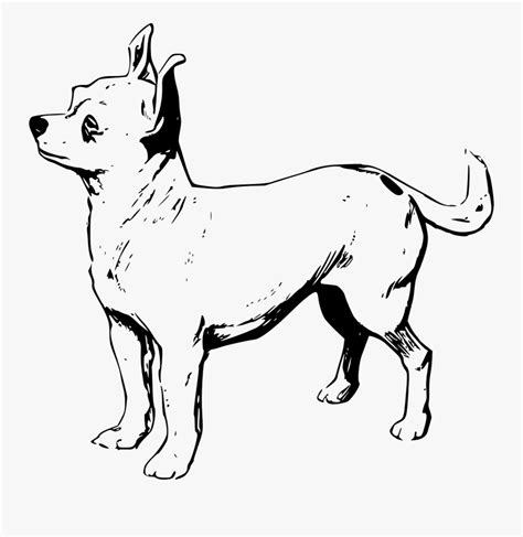 Chihuahua Black And White Drawings Free Transparent Clipart Clipartkey