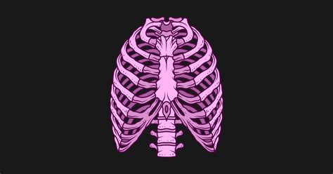 In most cases, a bruised rib will heal on its own. Rib Cage (Pink) - Rib Cage - Posters and Art Prints ...