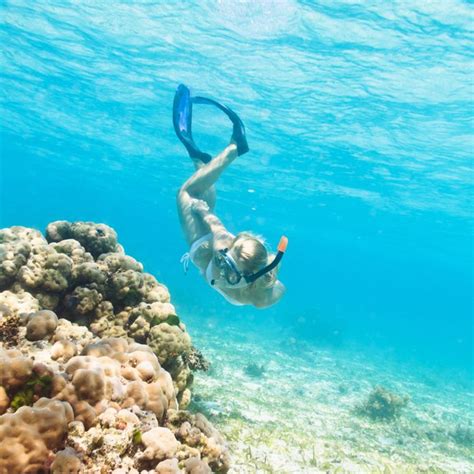 Ultimate Snorkel Adventure Turks Caicos Tours By Chukka Oahu