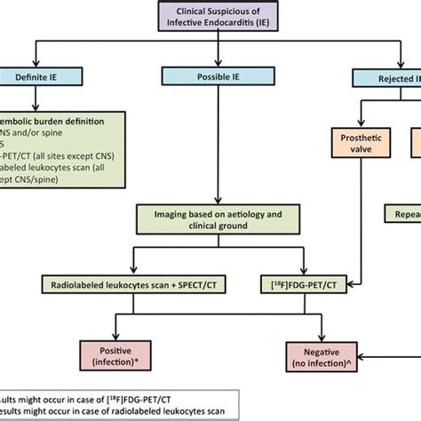 Algorithm For The Diagnosis Of Infective Endocarditis According To The