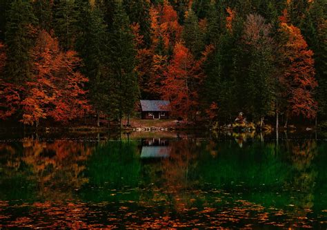 Autumn Leaves Daylight Evening Fall Foliage Forest House Lake
