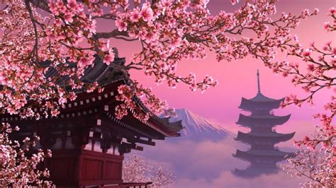 Cherry Blossom Hd Wallpaper Download
