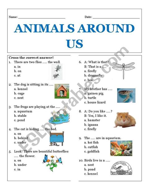 Animals Around Us Esl Worksheet By Rhae