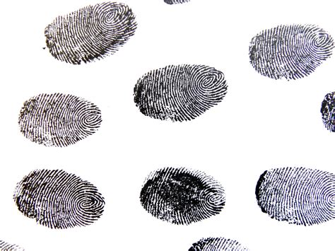 Which Fingerprint Is Most Common Perkins Elearning