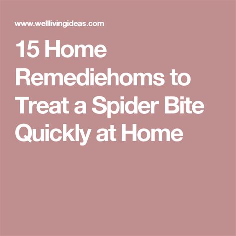 15 Home Remedies To Treat A Spider Bite Quickly At Home With Images