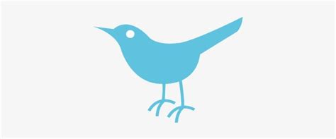 Twitter Logo History Evolution And Meaning Twenvy