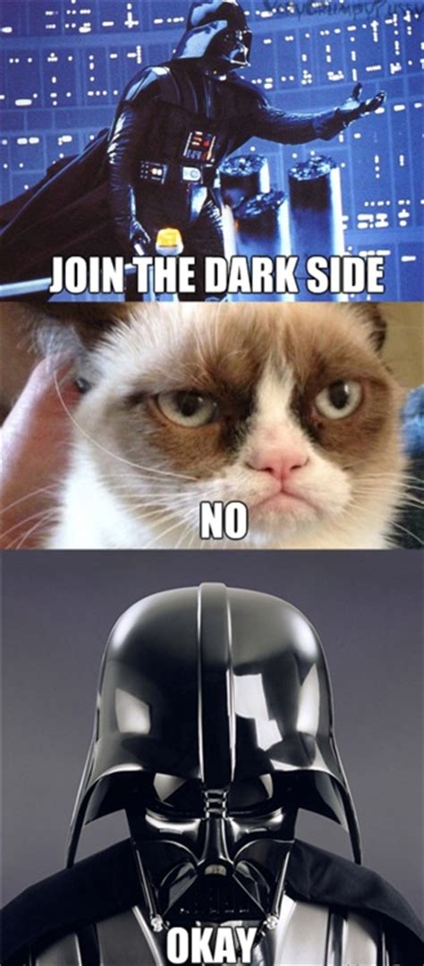 Tard The Grumpy Cat Just For Laughs Pinterest