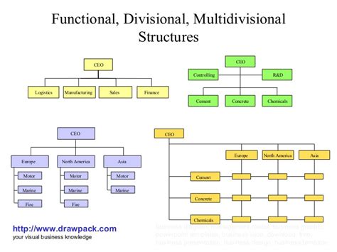 Who is best suited for a functional every company needs an organizational structure; Functional, divisional, multidivisional structures