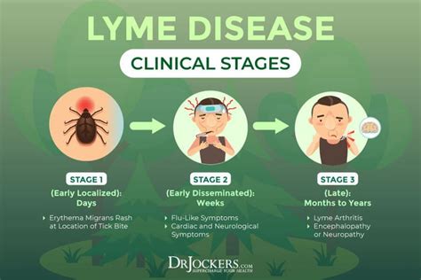 Pin On Lyme Disease