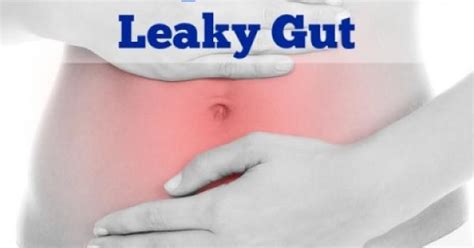 4 Steps To Heal Leaky Gut And Autoimmune Disease Greenmedinfo