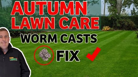 How To Get The Most Out Of Your Lawn This Autumn Autumn Lawn