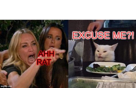 Woman Yelling At Cat Meme Imgflip