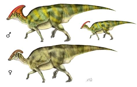 Parasaurolophus Facts And Pictures