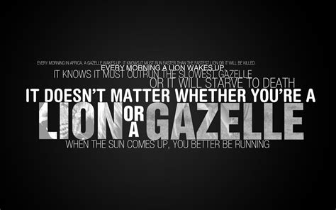 Gazelles are brown in color, with white underbellies and faces. Lion or a gazelle quote sign, quote, inspirational, typography HD wallpaper | Wallpaper Flare
