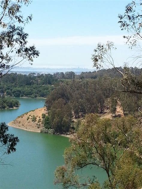 Lake Chabot Castro Valley Ca If You Look In The Distance You Can