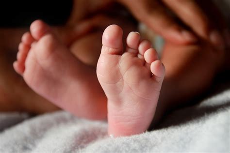 Baby Feet Newborn Leg Free Photo On Pixabay Pixabay