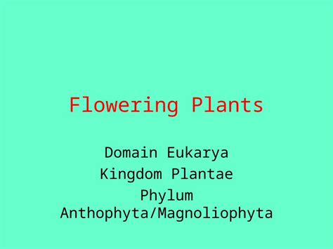 Ppt Flowering Plants Domain Eukarya Kingdom Plantae Phylum Anthophyta