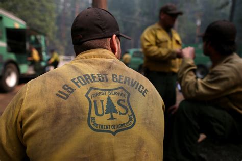 Forest Service Acknowledges ‘we Have More Work To Do To Address Sexual