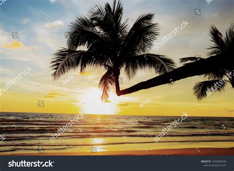Coconut Tree On Beach Sunset Sky Stock Photo 1260268249 Shutterstock