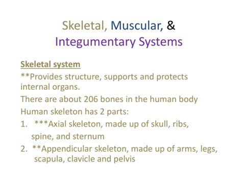 Skeletal Muscular And Integumentary Systems