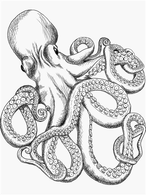 Ocean Drawing Octopus Drawing Octopus Tattoo Design Octopus Tattoos