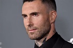 Adam Levine And Behati Prinsloo “Focused On Special Family Time” Before ...