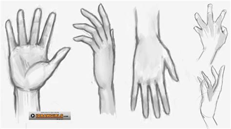 How To Draw Hand Drawing And Digital Painting Tutorials