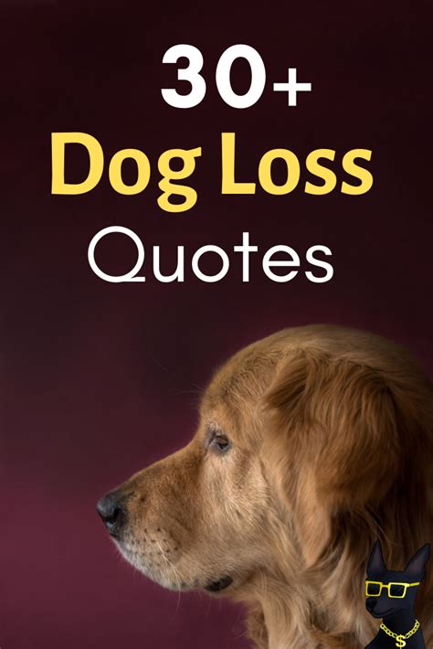 Dog Loss Quotes 1 Yo Doggy Dog