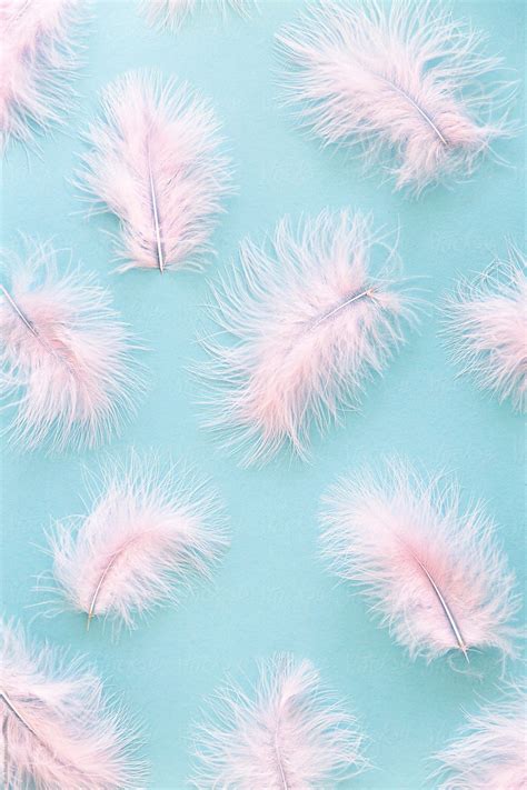 Pink Feather Background By Stocksy Contributor Ruth Black Feather