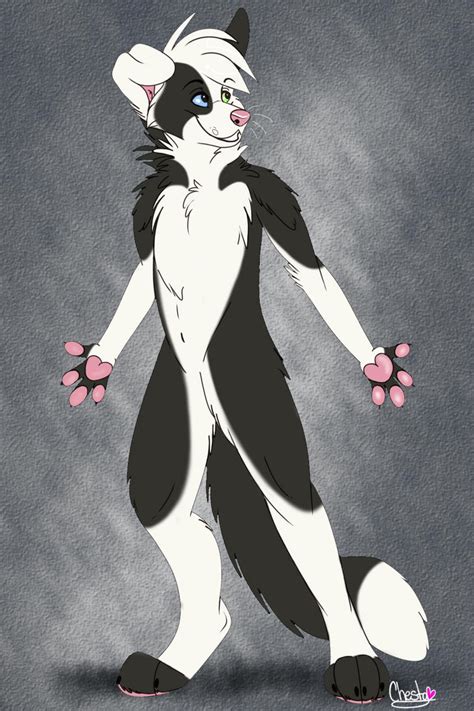 Unnamed Border Collie By Chesta By Miss Nymph On Deviantart