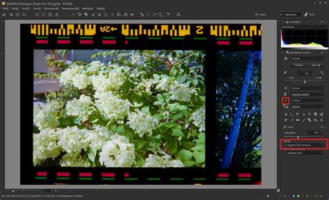 Convert Negative Film Images Into Digital Data With Silkypix Silkypix