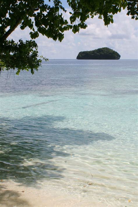 Palau Encyclopedia Article Citizendium