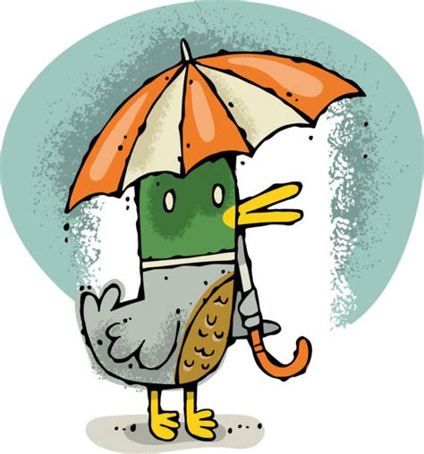 Cartoon Of A Duck With Umbrella Illustrations Royalty Free Vector