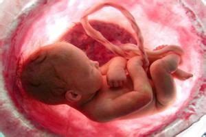 Placenta previa involves the placenta obstructing the opening of the uterus, complicating or use cocaine. Placenta importance in the fetal development and the most common placental problems | Science online