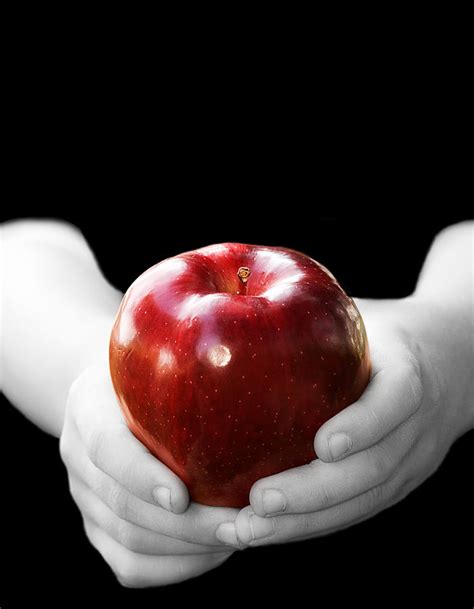 Hands Holding Apple Photograph By Trudy Wilkerson Pixels