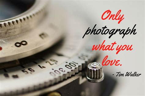 100 Best Photography Quotes Of All Time 2023