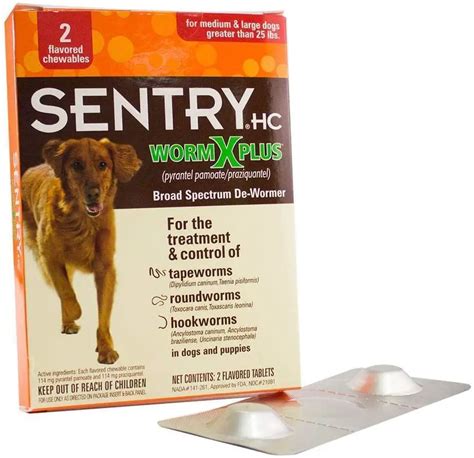 The 9 Best Dewormer For Dogs Of 2023