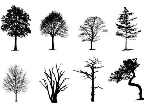 Free Vector Tree Silhouette At Vectorified Com Collection Of Free
