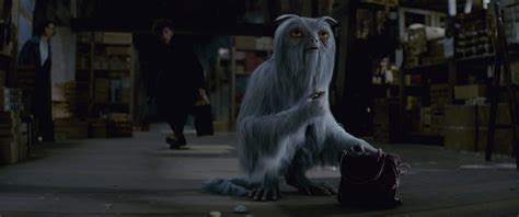‘fantastic Beasts And Where To Find Them A Vfx Creature Guide Indiewire