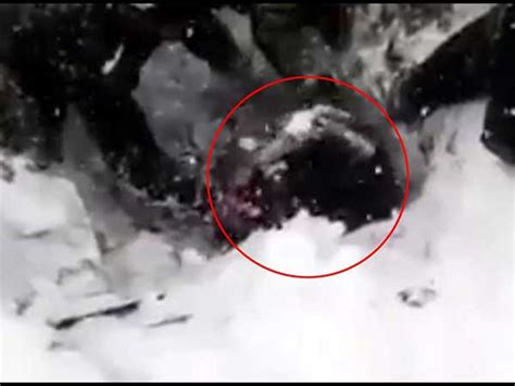 Siachen Avalanche Soldier Found Alive After 6 Days Watch Video Oneindia