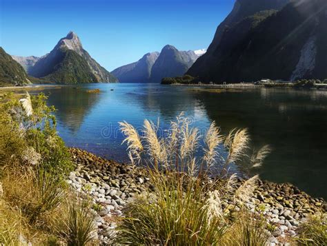 New Zealand Scenic Fjord Landscape Milford Sound Stock