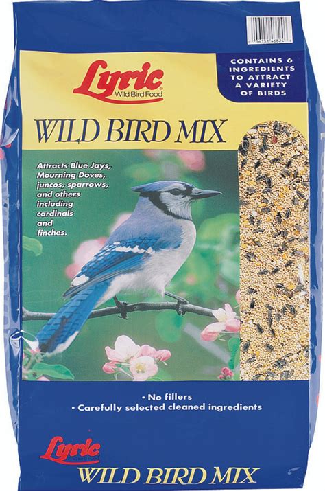 Lyric 2647432 Wild Bird Feed 5 Pound Bag 088685472855 2