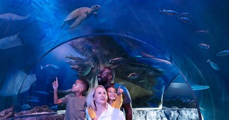 Tickets To Sea Life Orlando Aquarium Musement